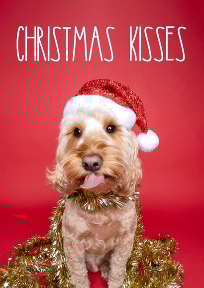Cockapoo Christmas Kisses Dog Card created by The Yorkshire Pawtrait Co.