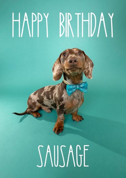 Sausage Dog in a Bow Tie Birthday Card created by The Yorkshire Pawtrait Co.