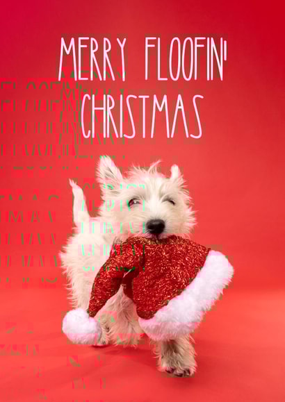 Super cute Westie puppy Christmas card created by The Yorkshire Pawtrait Co.