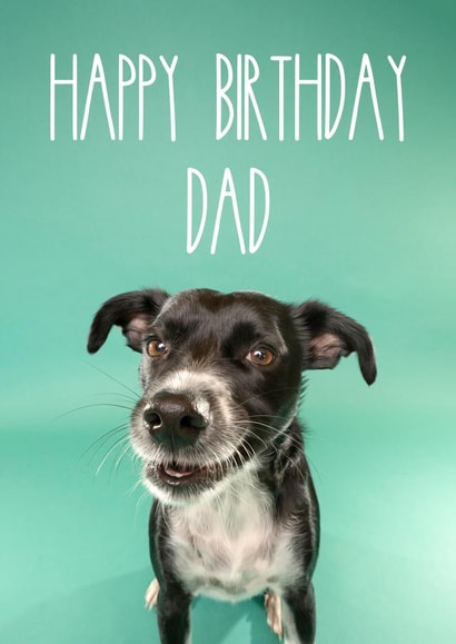 Happy Birthday Card for Dog Dads and Human Dads alike! created by The Yorkshire Pawtrait Co.