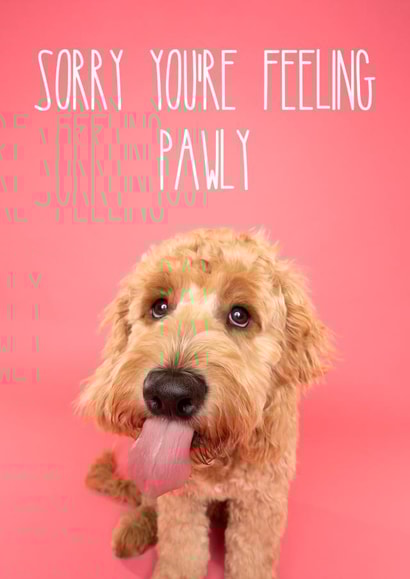 Colourful Get Well Soon Goldendoodle Dog Card created by The Yorkshire Pawtrait Co.