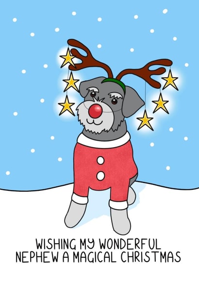 Merry Christmas to my wonderful nephew created by Schnauzer Scribbles