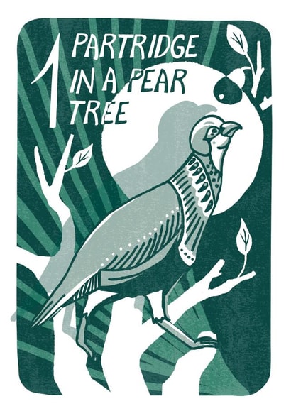 "Partridge in a pear tree" Fun Christmas card from 12 Days of Christmas Series created by Kati Lacey Illustration