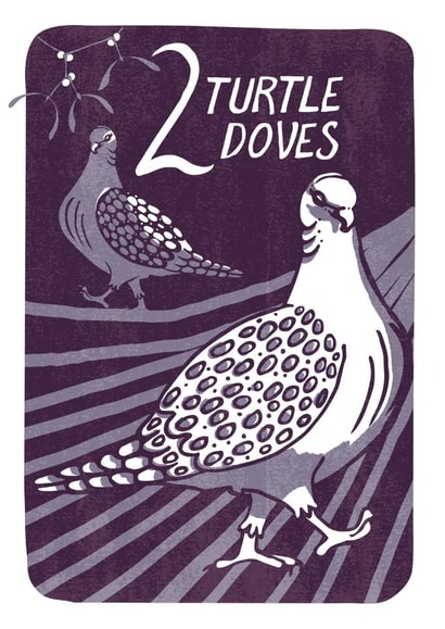 Fun & Festive 2 Turtle Doves Christmas card from the 12 Days of Christmas Series created by Kati Lacey Illustration