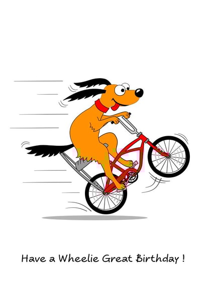 Funny Birthday Card - Grandson, Granddaughter, Teen, Nephew. Cycling Dog on Bike created by Swizzoo
