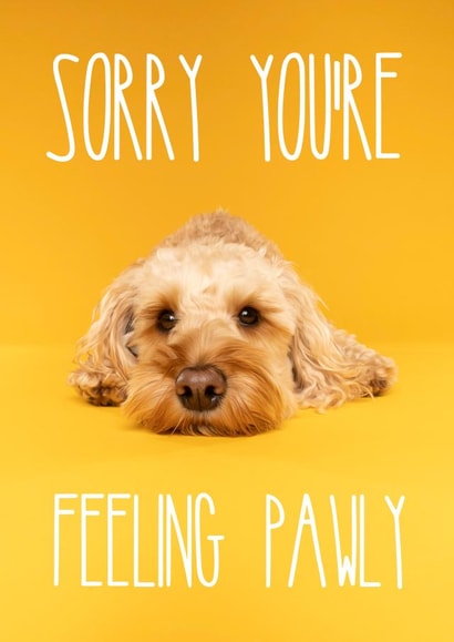 Cheerful and cute get well soon cockapoo dog greetings card created by The Yorkshire Pawtrait Co.