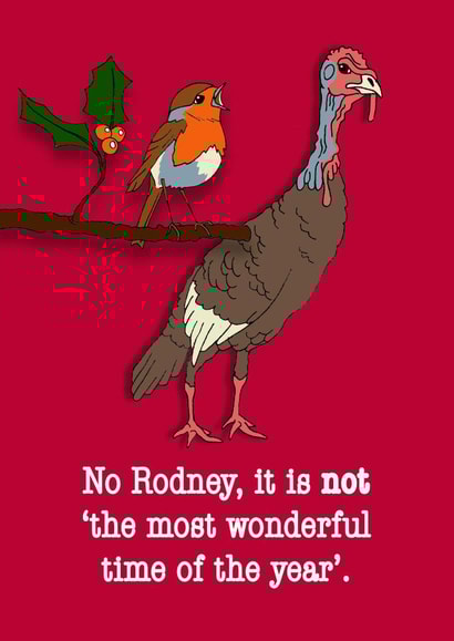 Funny Christmas Card - turkey and robin. created by Dragonfly Artworks