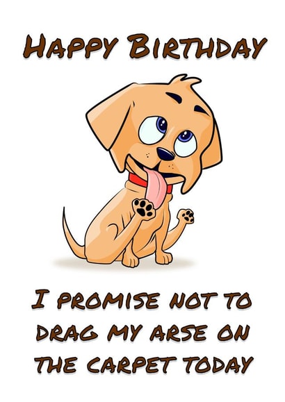 Funny birthday card for the owner of an arse-dragging dog created by Chris Smyth