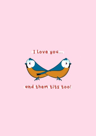 Valentine’s card - cute illustrated tits created by Daniella Illustrates 