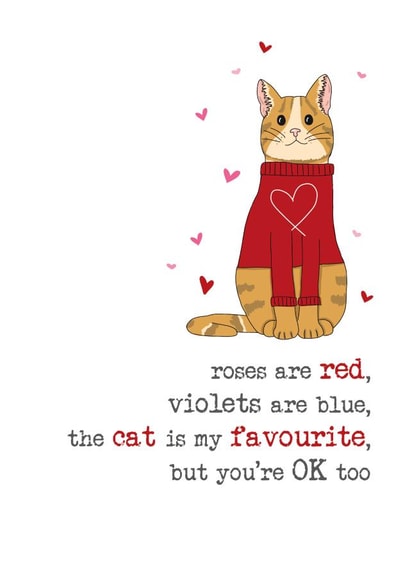 Funny Valentine's Day - Cat - Favourite created by Dandelion Stationery