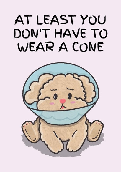 Get well card with sweet dog in neck cone created by Studio DBT
