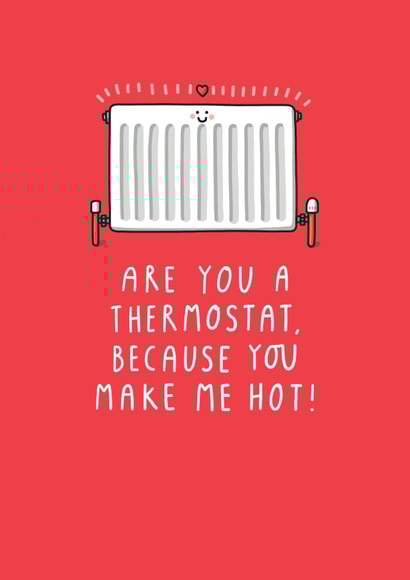 Are You A Thermostat, Because You Make Me Hot! Fun Anniversary or Valentine Card created by mungo and shoddy