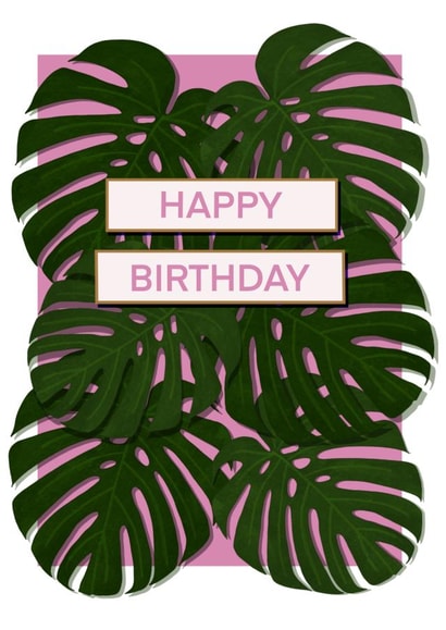 Contemporary Birthday Card for Relative/Friend - Monstera House Plant created by DC Cards