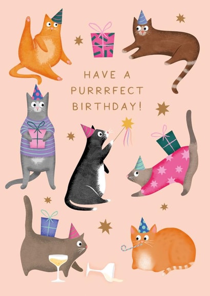 'Have A Purrrfect Birthday' - Party Cats Birthday Card created by Studio Mads