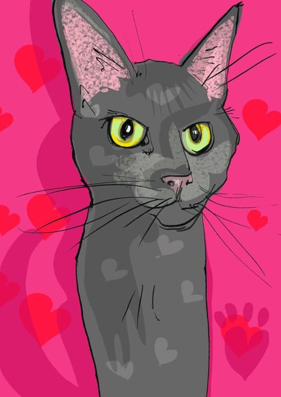 Cute cat card for any cat mad fan for any occasion created by Higgledy Prints