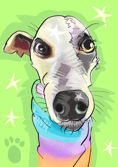 Rainbow Whippet created by Higgledy Prints