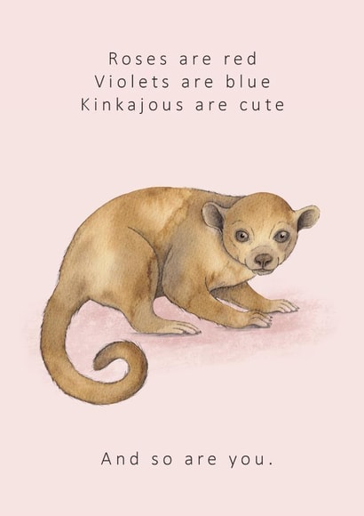 Roses are red... cute Kinkajou animal Valentine's card created by Dani Williams