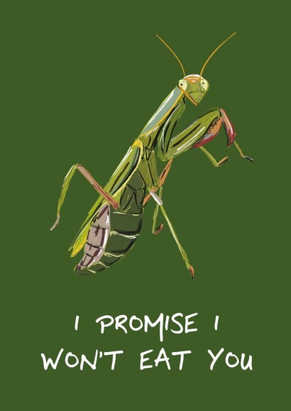 Card for Boyfriend / Husband - Praying Mantis - I Promise I Won't Eat You created by Toadstools and Frogsofas