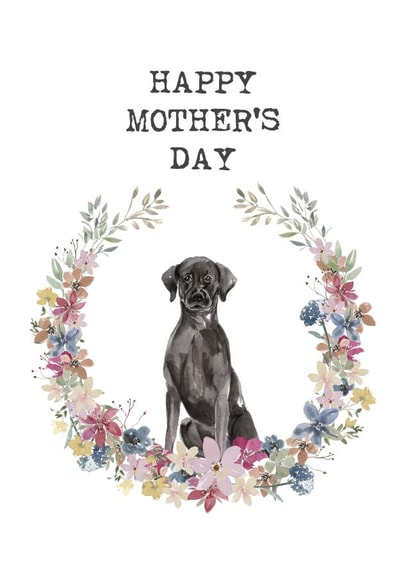 Black Labrador Mother's Day card - Happy Mother's Day created by Audrey & Coco