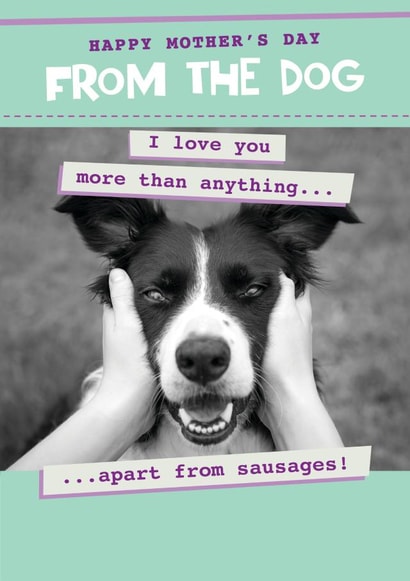 Funny from the dog mother's day card - cute doggie I love you... created by Quitting Hollywood