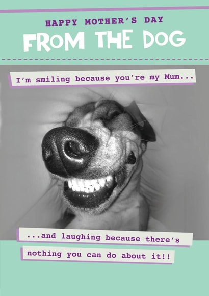 Funny from the dog mother's day card - Laughing as there's nothing you can do! created by Quitting Hollywood