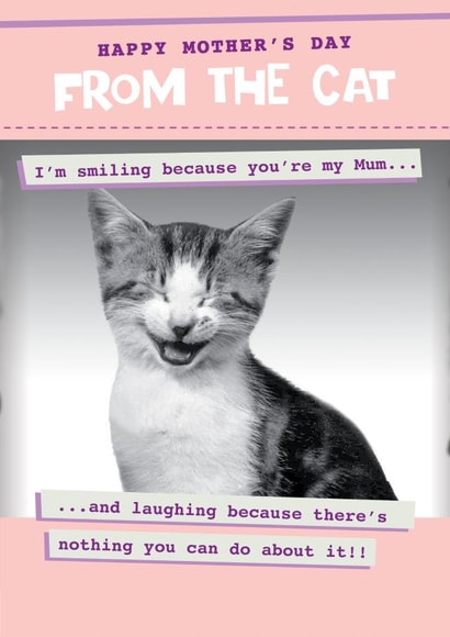 Funny from the Cat mother's day card - Laughing as there's nothing you can do! created by Quitting Hollywood