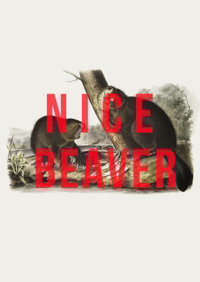 Nice Beaver! A cheeky pun to show appreciation for your fave beaver! created by The 13 Prints