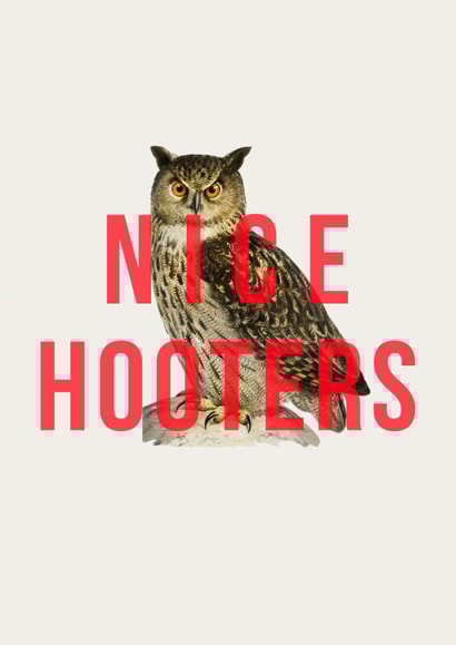 Nice Hooters! A punny card to show appreciation for your fave hooters! created by The 13 Prints