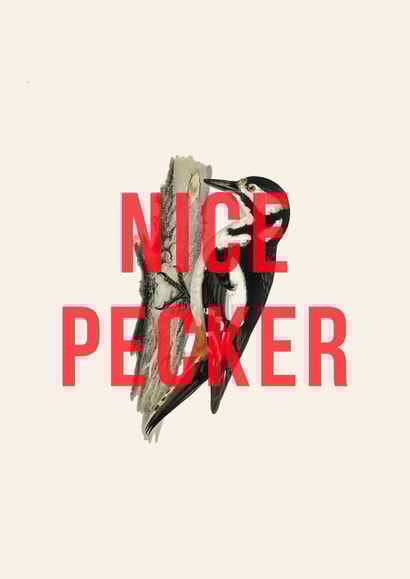 Nice pecker! A punny card to show appreciation for your fave pecker! created by The 13 Prints