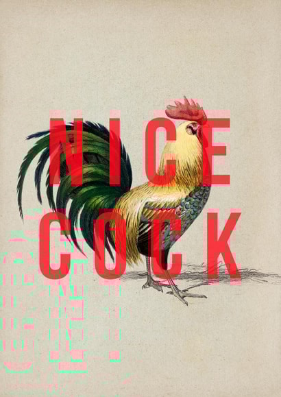 Nice Cock! A punny card to show appreciation for your fave cock! created by The 13 Prints