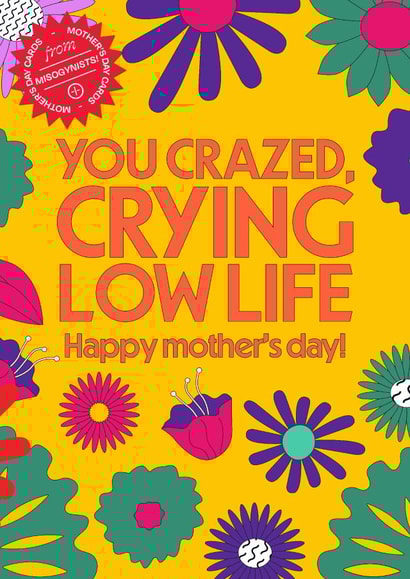 You crazed, crying low life. Happy Mother's Day from a misogynist. created by WMN from CPB London