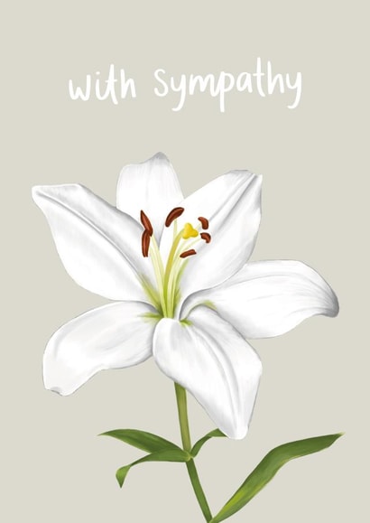 Cute Sympathy Card - Casablanca Lily created by Fliss Muir