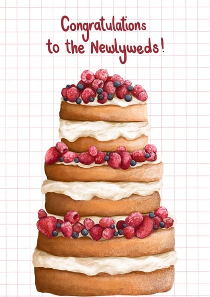 Cute Wedding Card - Congratulations to the Newlyweds created by Katie Tinkler illustration