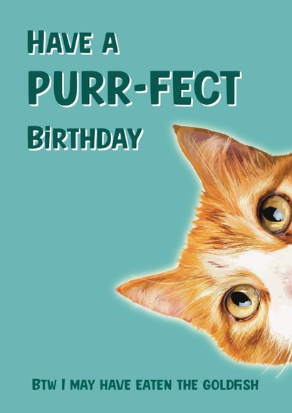 Have A Purr-fect Birthday | Fun Cat Birthday Card created by Robyn May Henry
