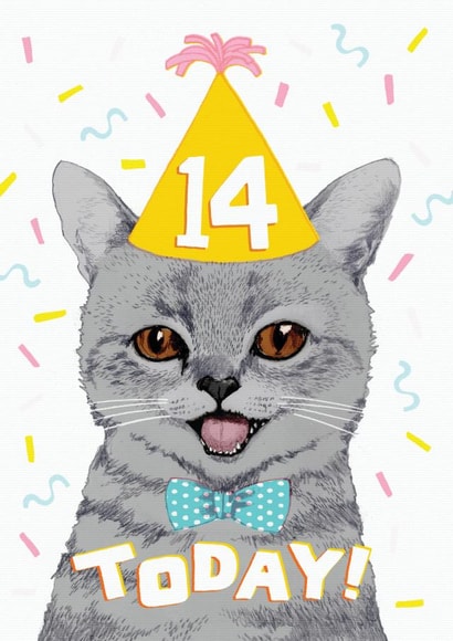 Cute Birthday Crd - 14th - Cat created by Pencilface
