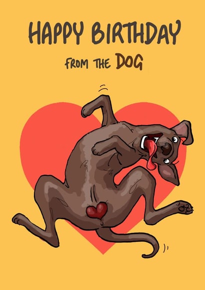 Funny Birthday Card - From the Dog - Balls created by Bryony Jackson Walters
