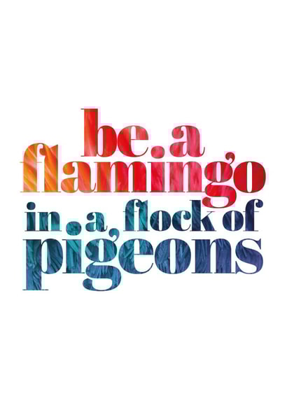 Be a Flamingo in a flock of Pigeons typography card created by Charlotte Pow