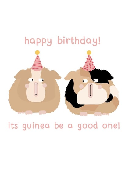 Birthday guinea pigs created by hnaillustration