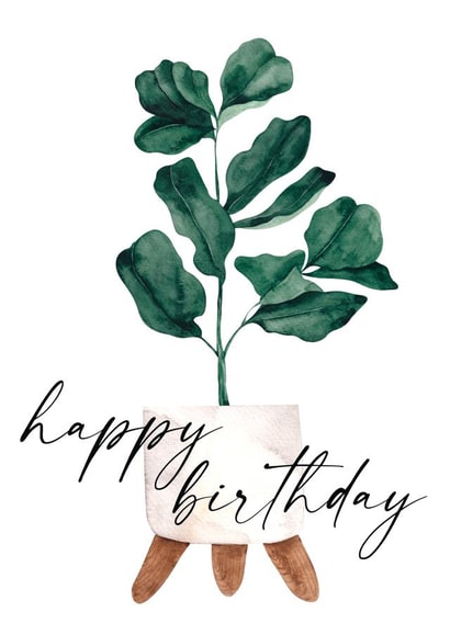 Happy Birthday Fiddle Leaf Fig Card - Plant Birthday Card - Happy Birthday Plant created by Open Space Collective