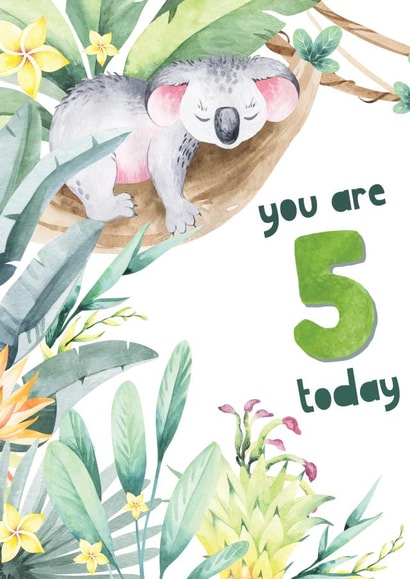 Cute Koala 5th Birthday Card - Animals - Wildlife created by Exquisite Studio