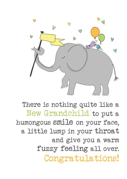 New Grandchild - Congratulations - Grandparents - Grandma - Grandad created by Dandelion Stationery