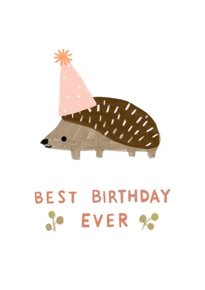 Best Birthday Ever Hedgehog Party Cute Illustrated Card created by After Providence 
