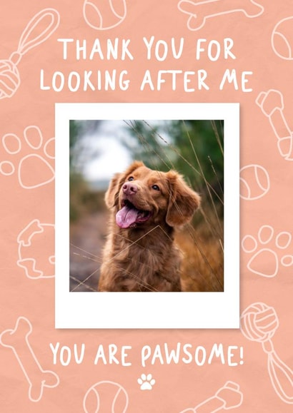 dog pawsome Thank You Personalised Photo Card 20391 created by @hollielonglanddesigns