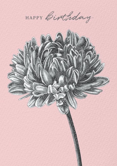 Aster Duchess Flower Birthday Card - Floral - Happy Birthday created by Lucy Francis