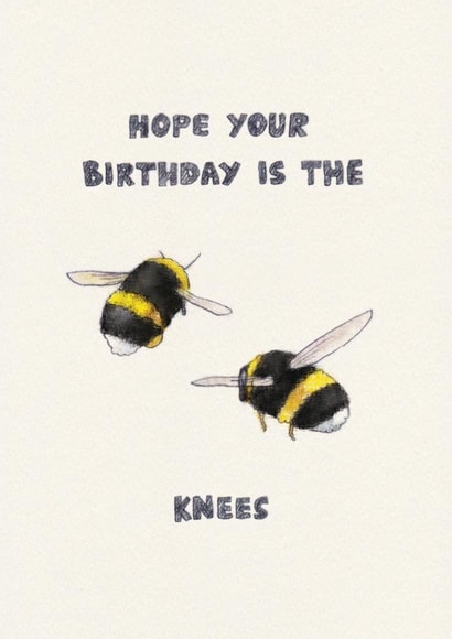 Hand-drawn pencil birthday card - Hope your birthday is the bees knees created by Roisin Cafferty