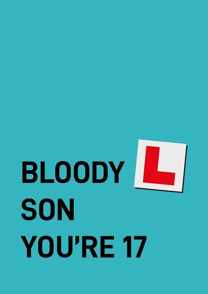 Cheeky Birthday Card - 17th - Son - Learner created by Quinton cards