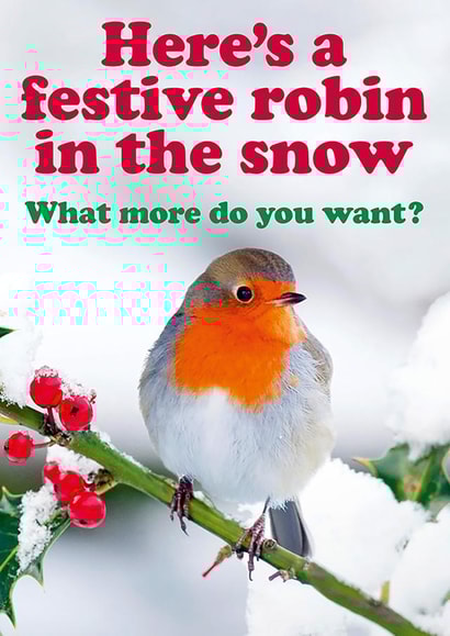 Cute and Cheeky Christmas card - Festive robin in the snow. created by Dean Morris Cards