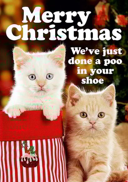 Cute Christmas Card - From the Cat - Poo in Shoe created by Dean Morris Cards