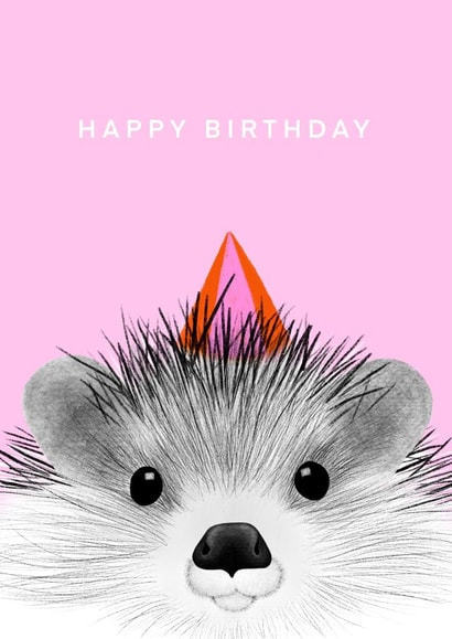 Hedgehog in a party hat created by CVMS