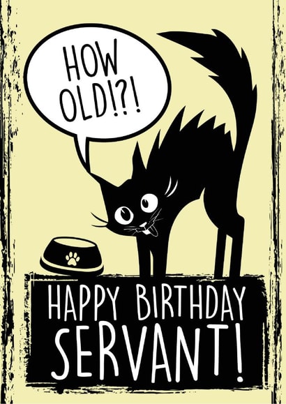 Cattitude - Funny Birthday Card for the Cat lover created by The Purple Spell